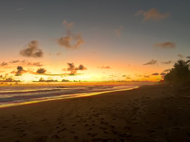 60ef4ece-e7df-4b45-9be8-0e9396330ad4-aa_photo_upload-Fall24_SemesterCostaRica_MaxRonanJess_sunset