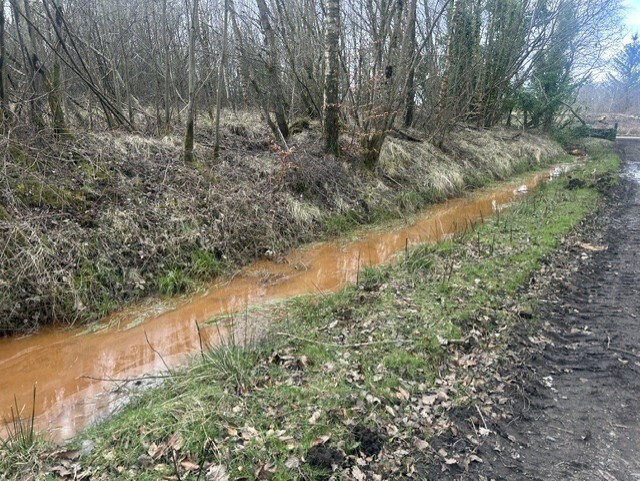 CaitlynODell_IRNBRUWater