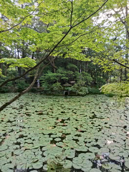 Florence Kent - Toyo University - 30 City&Landscape Photos