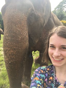 SU18_Intern in Thailand_MackenzieLefler_University of Tennessee Chattanooga_elephant selfie