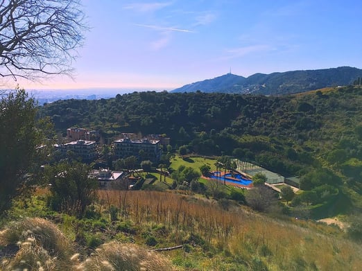 Wilnyde, being a black student in Spain blog post