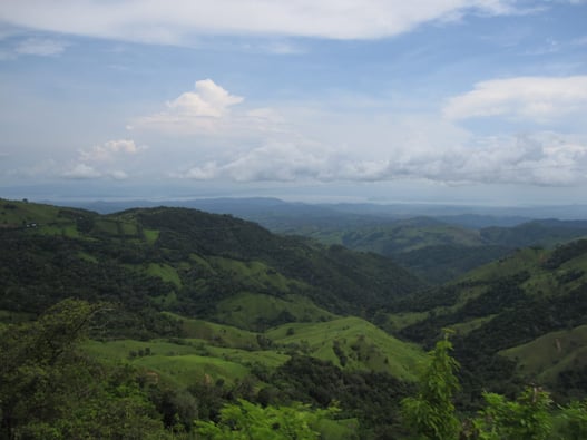 Monteverde-Cloud-Forest-Reserve-costa-rica-excursion