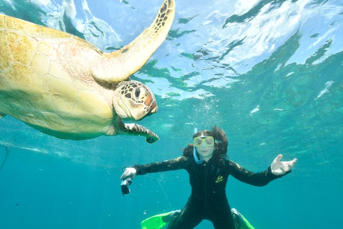 Spring2024_GoldCoast_AdrienneValentini_UMassAmherst_Snorkeling
