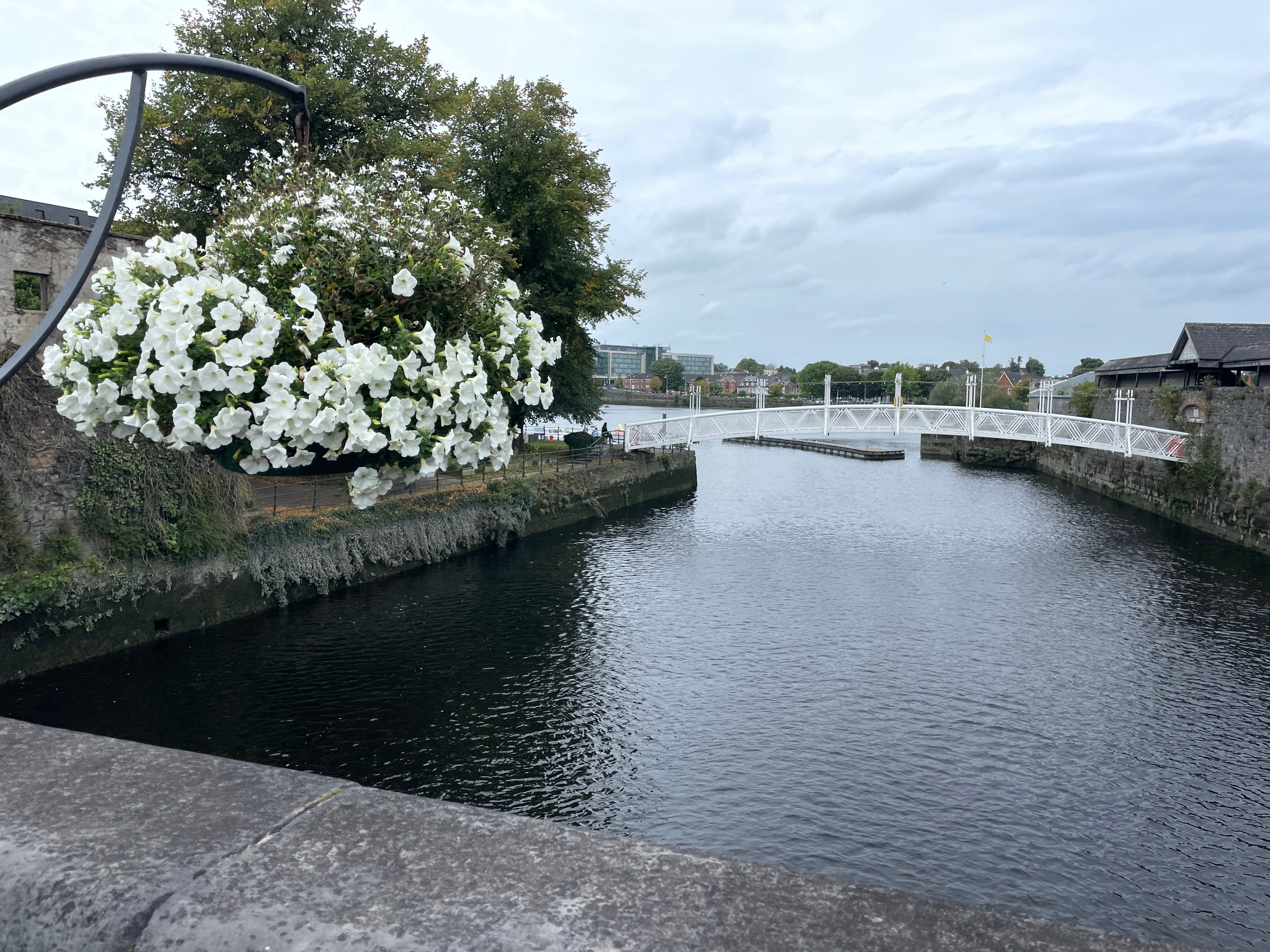 WhiteBridgeWithFlowers